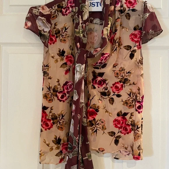 Alice + Olivia Sheer Floral Short-Sleeve Blouse in Beige and Burgundy - Picture 1 of 6